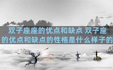 双子座座的优点和缺点 双子座的优点和缺点的性格是什么样子的